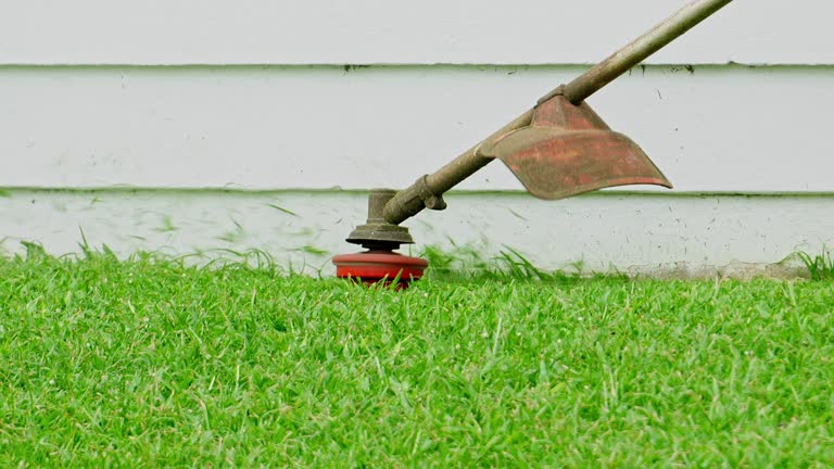 Best Lawn Disease Treatment  in Anniston, AL